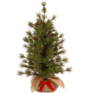 3ft. Bristle Cone Pine Tree With Red Bow In Burlap Base | Michaels Stores
