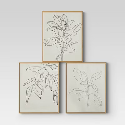 (Set of 3) 16" x 20" Leaf Illustrations Framed Wall Canvas - Opalhouse™ | Target