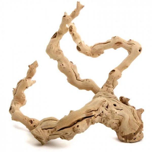 Highland Dunes Alden Decorative Natural Branch Sculpture & Reviews | Wayfair | Wayfair North America