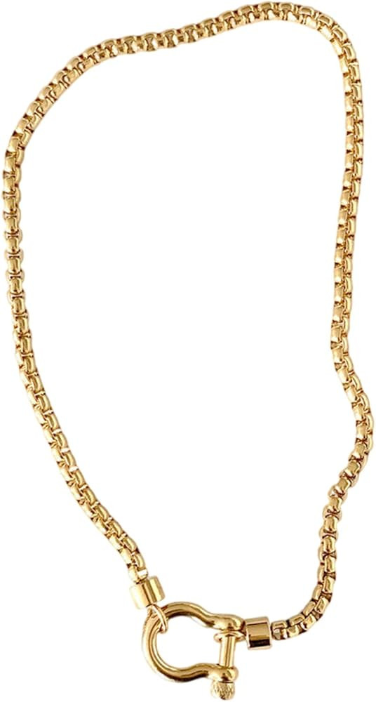 Elegant Stainless Steel Necklace Featuring Unique Carabiner Clasp Pendant Accessory For Trendy Wo... | Amazon (US)
