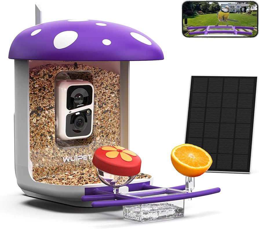 Bird Feeder with Camera, Smart Bird Feeder Camera with AI Identify Bird Species, Auto Capture Bir... | Amazon (US)