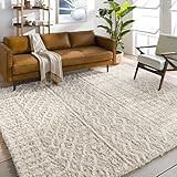 Artistic Weavers Hapsburg Moroccan Shag Area Rug, 2'7" x 5', Beige | Amazon (US)