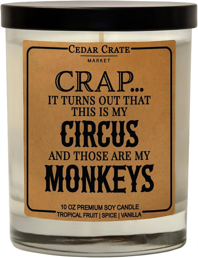 Funny Candle Gifts for Mom, Mothers Day Gift, Birthday Gifts for Women, Men, Best Dad, Best Frien... | Amazon (US)