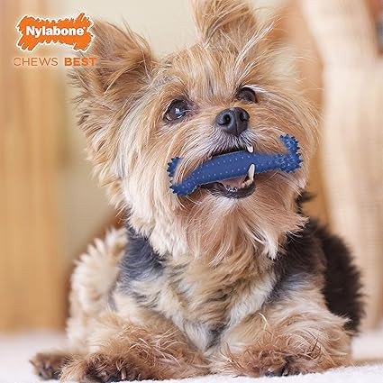 NylaBone® Dental Chew®, Bone, Original Flavor, Small Dog up to 25 lbs | Amazon (CA)