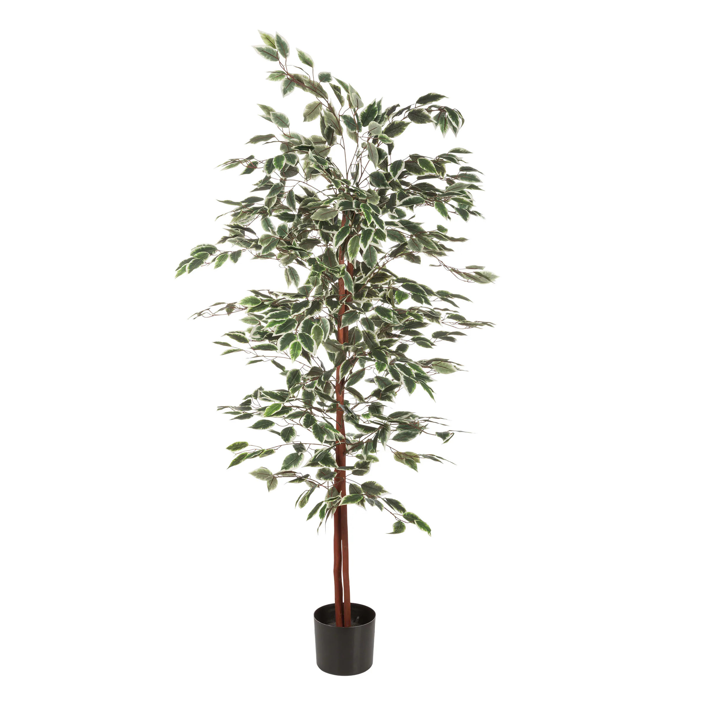 Pure Garden 5-Foot Ficus Artificial Tree - Realistic Faux Plant with Variegated Leaves and Natural Trunk one_size | 50-10001 | Lowe's