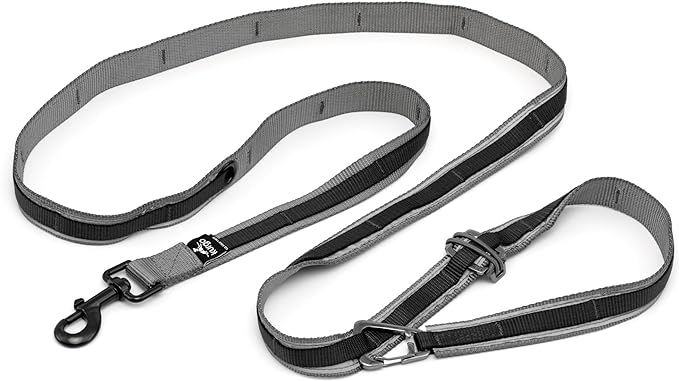 Kurgo 6 in 1 Quantum Leash, Hands Free Leash for Dogs, Running Belt Lead, Crossbody & Waist Belt ... | Amazon (US)