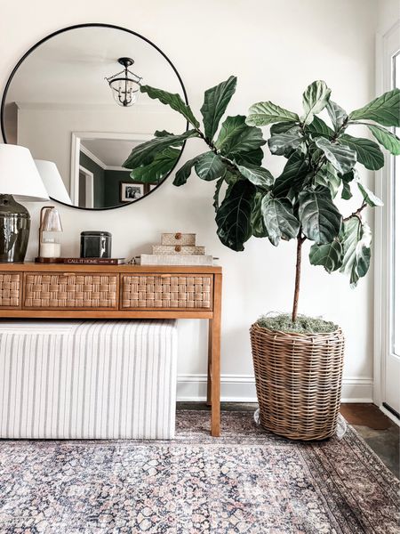 Love this little corner of my foyer with my thriving fiddle 🌿

#console #arearug #upholsteredbench #tablelamp #candlewarmer #mirror #roundmirrof

#LTKhome #LTKstyletip #LTKfindsunder100