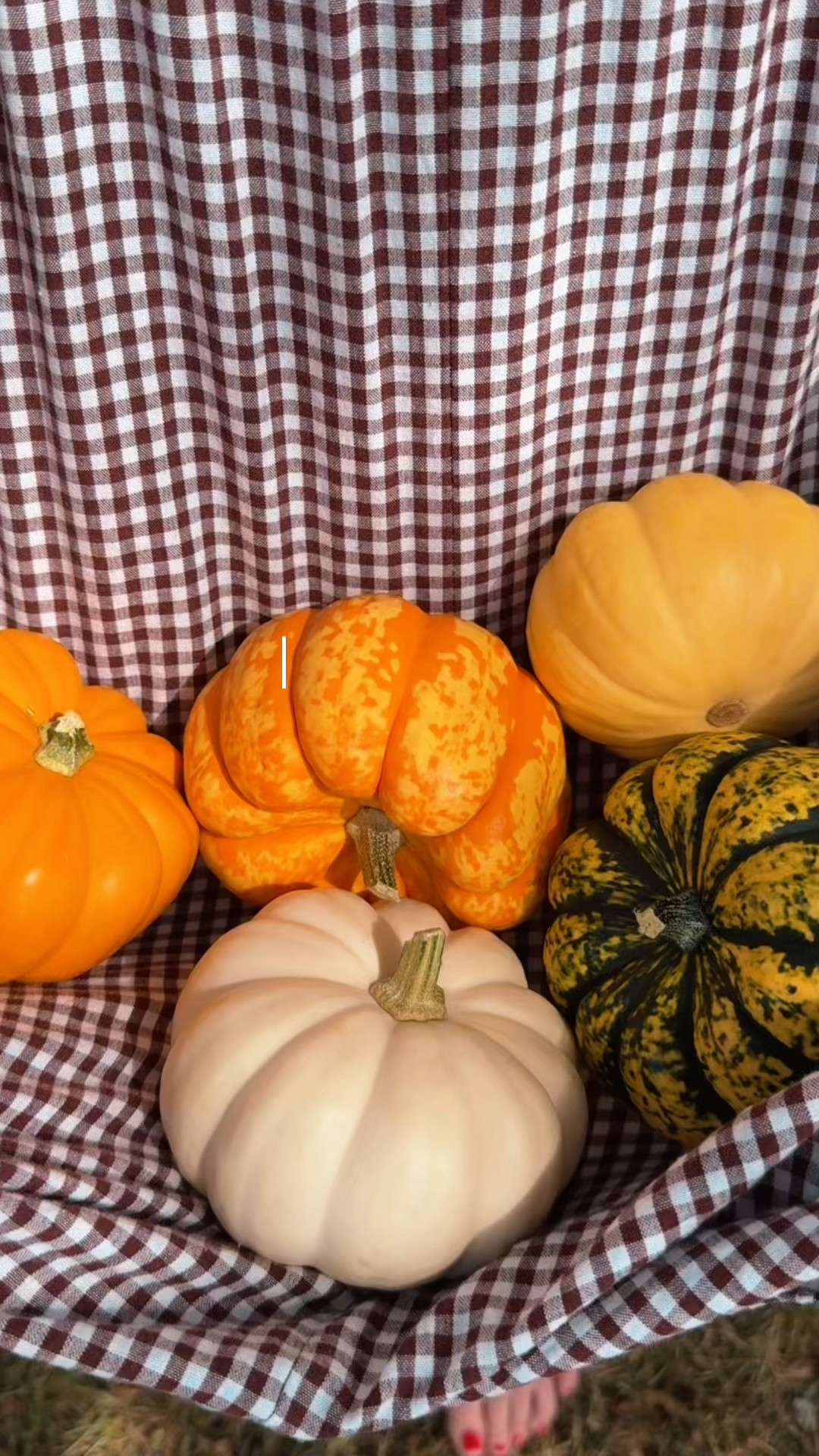 Fall find from Amazon.

#LTKStyleTip #LTKSeasonal #LTKMidsize