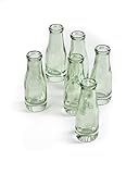 Serene Spaces Living Mini Green Glass Bud Vase, Set of 6 (Bottle) | Amazon (US)