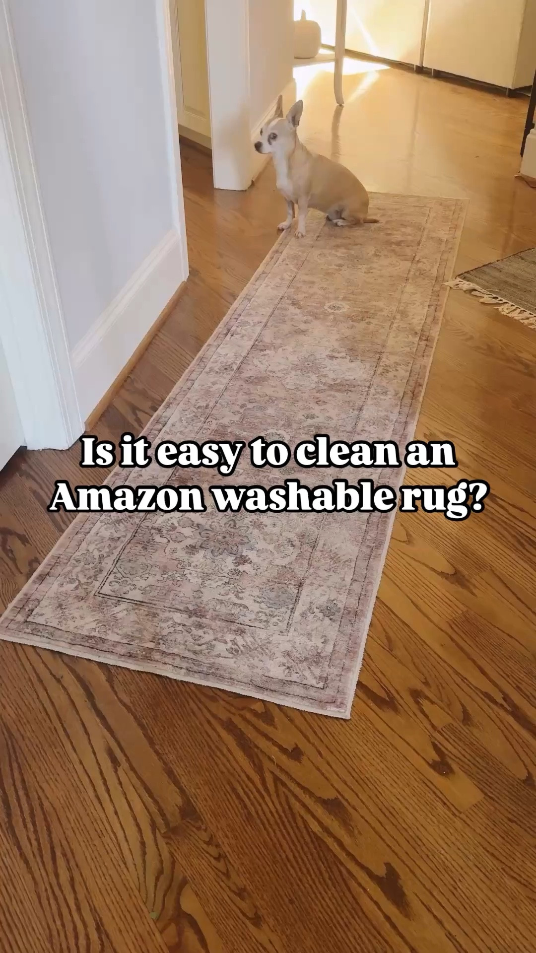 Clean my washable runner rug with me! It’s easier than I thought!

#LTKHome #LTKFindsUnder50
