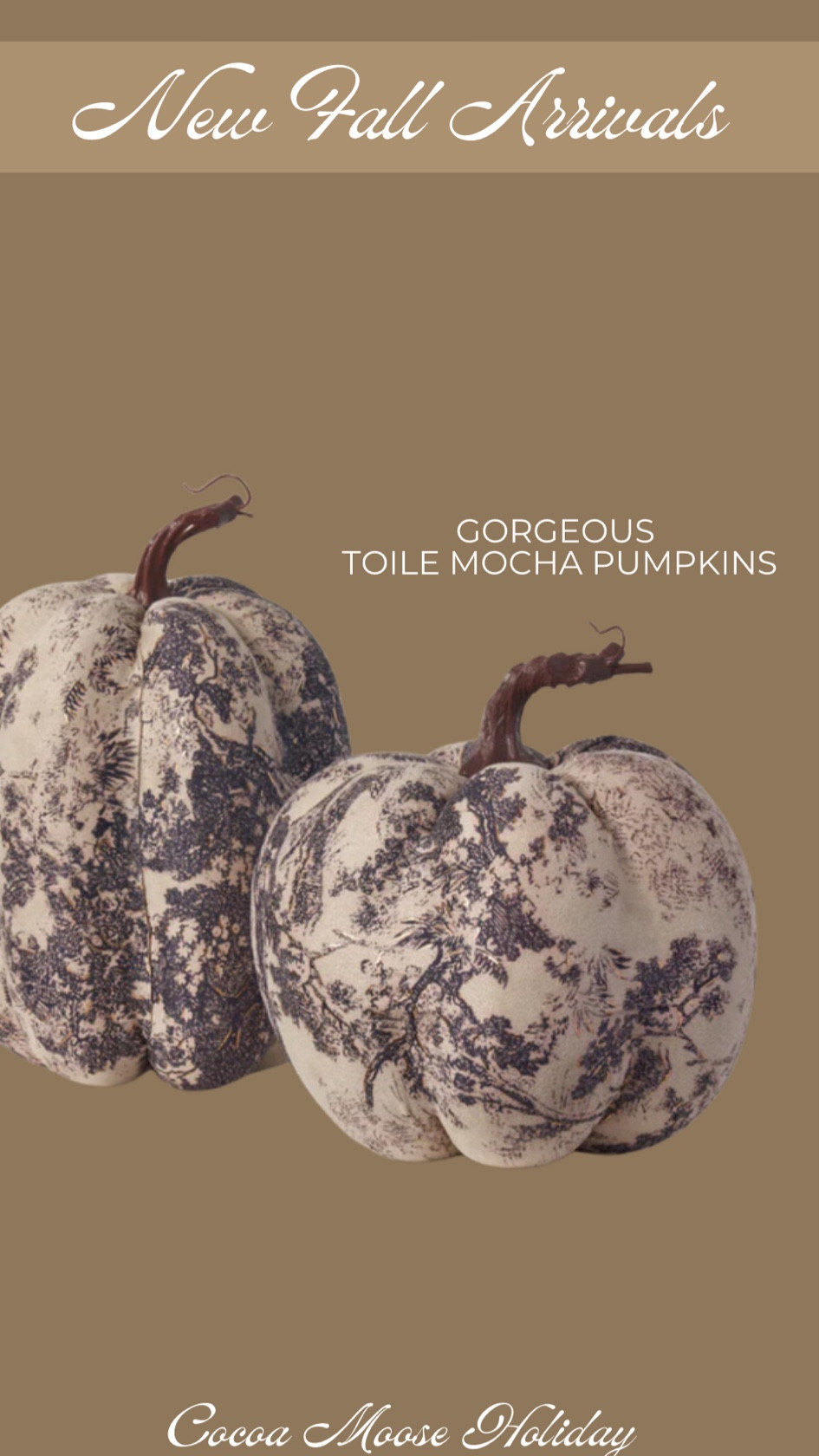 Gorgeous fall finds! Mocha toile pumpkins for your fall decor. Fall, Halloween, fall decor 

#LTKHome #LTKSeasonal #LTKFindsUnder100