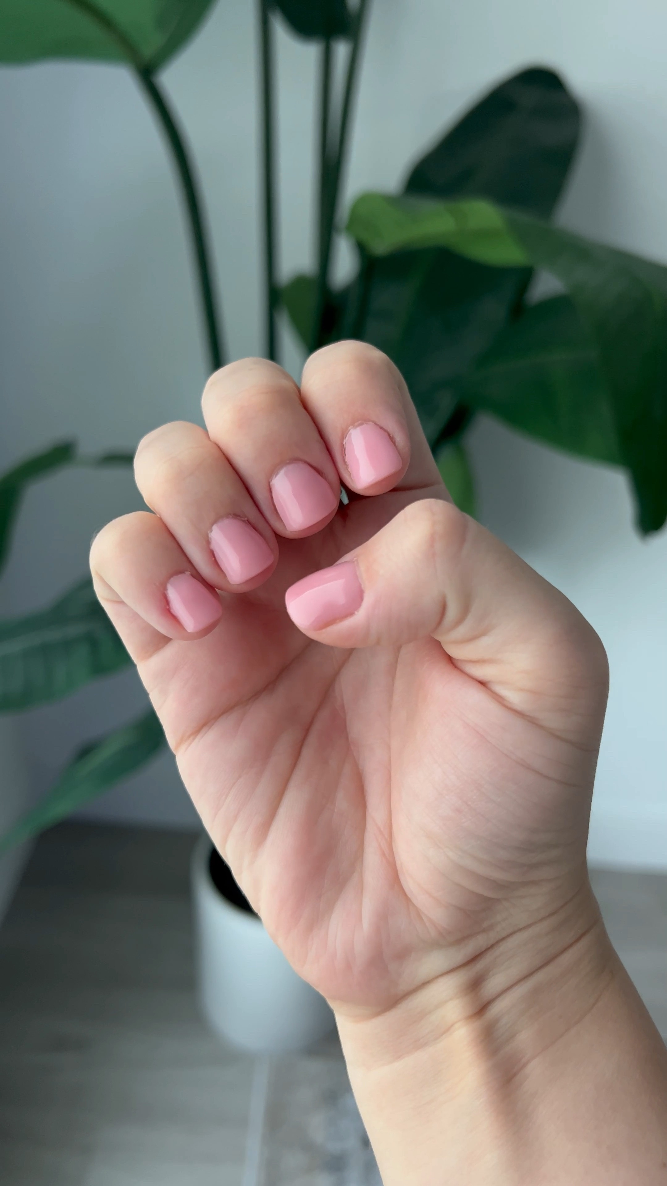 Getting back to doing my Dip nails at home! Fresh set of nails with my favorite DY dupe ring from Amazon! Love a good mixture of gold and silver metals! 