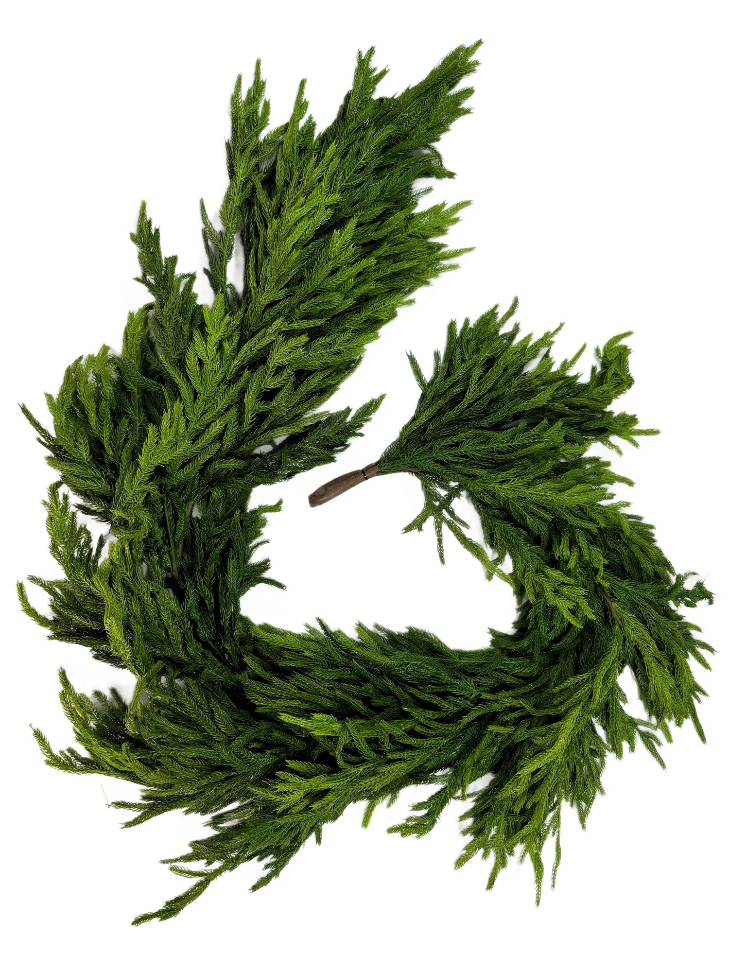 Primrue Natural Touch Norfolk Pine Garland 72In X 16In | Wayfair | Wayfair North America