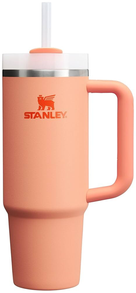 STANLEY Quencher H2.0 Tumbler with Handle and Straw 30 oz | Flowstate 3-Position Lid | Cup Holder... | Amazon (US)