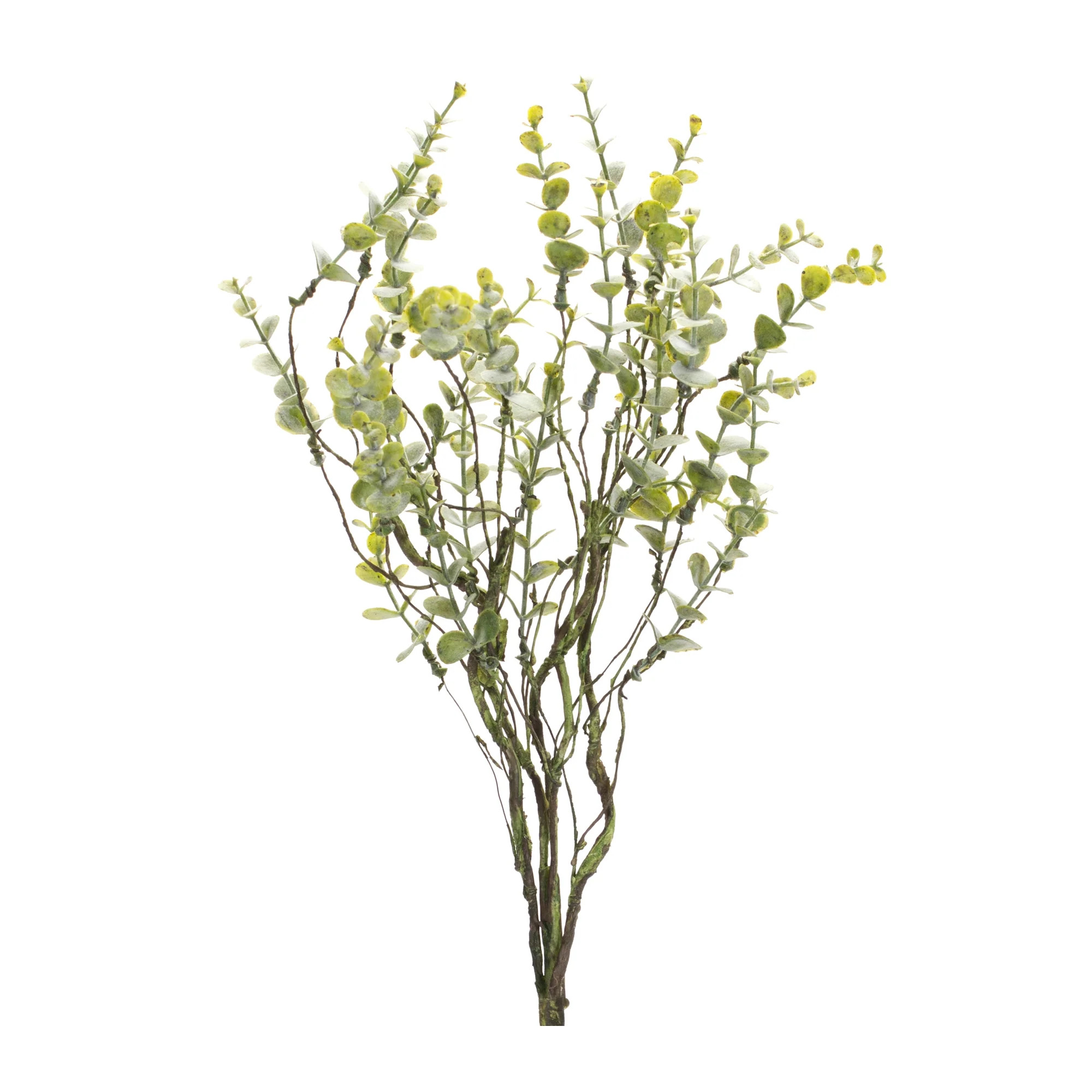 Boxwood Spray | Eco Chic Home