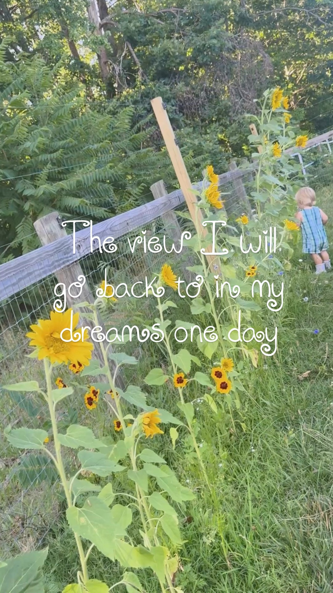 Summertime evenings 🌞 in the garden 🪴 with my babies 👶🏼 will forever have my heart!! 🌻🧺🌼🌾 #thesearethedays #summernights #myfavoriteview #sunflowersandbabies #sunflowerlove