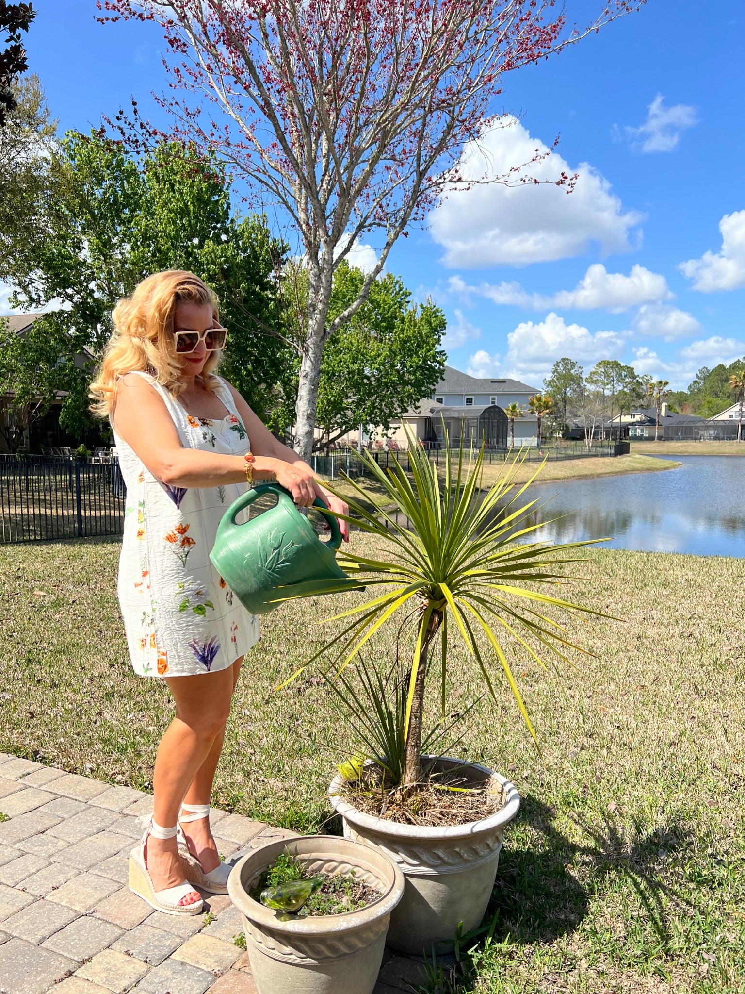 🪴In love with this @VICI mini dress! #ad #vici #vicicollection @VICI  

🪴Could this plant print dress be any cuter? I LOVE IT! Great length for spring break. This would be the perfect dress at a beach resort, poolside or just watering your plants at home.🏡 

🪴Wearing a large and fits true to size.

🪴Use code: JENN35 at checkout for 35% off your next order. Valid through 3/31/26.


#springdress #easterdress #springootd
#beachoutfit


#LTKgrwm #LTKSpringSale #LTKU #LTKSwim #LTKMidsize #LTKSaleAlert #LTKSeasonal #LTKTravel #LTKootd #LTKOver40