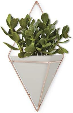 Umbra 470752-633 Trigg Hanging Planter, Large, Concrete/Copper | Amazon (US)