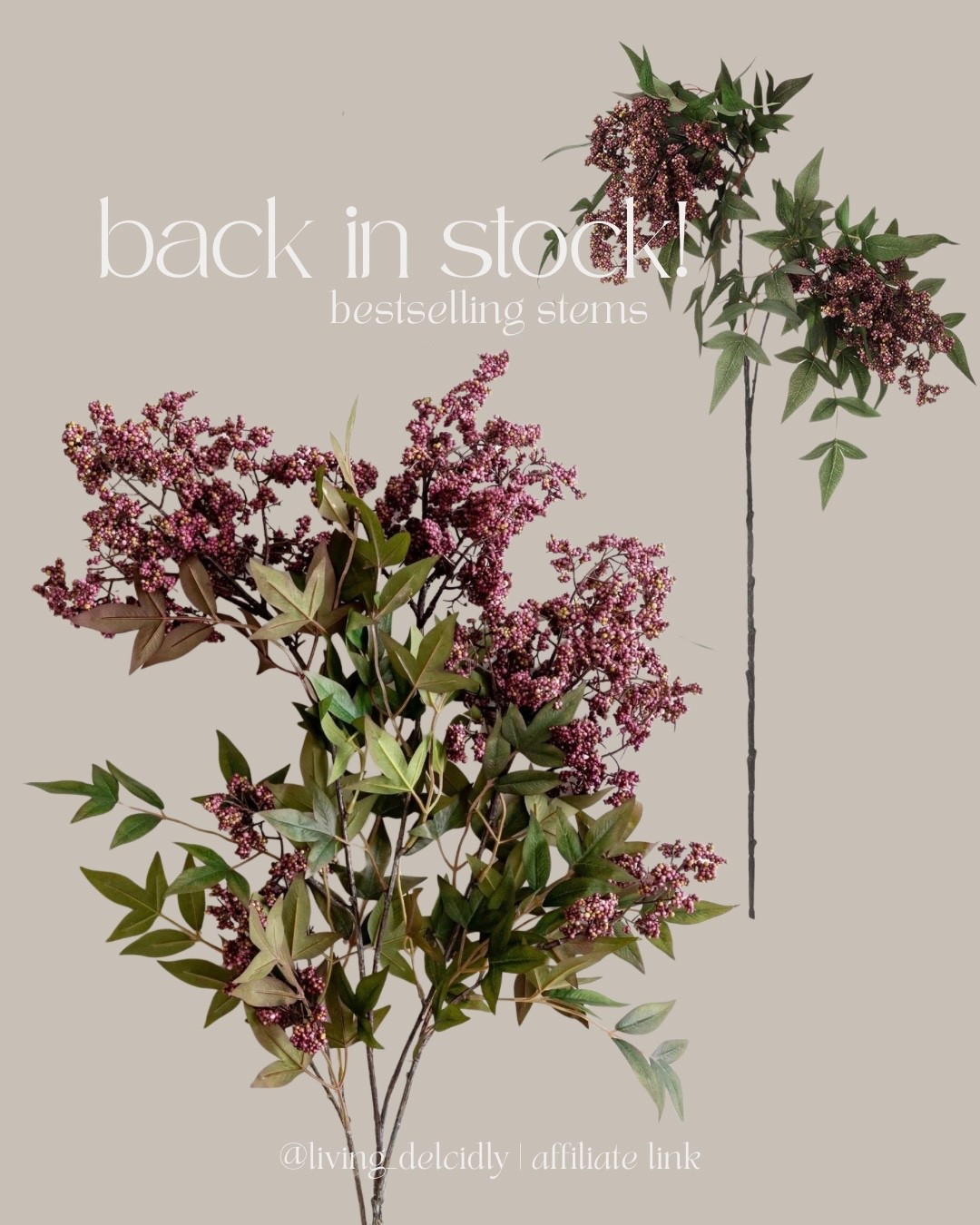 The bestselling plum stems are BACK IN STOCK! They sell out so quickly every year! Perfect for spring! 

Spring Decor | Faux Stems | Vase Styling | Viral Stems | Spring Florals

#LTKHome #LTKSeasonal