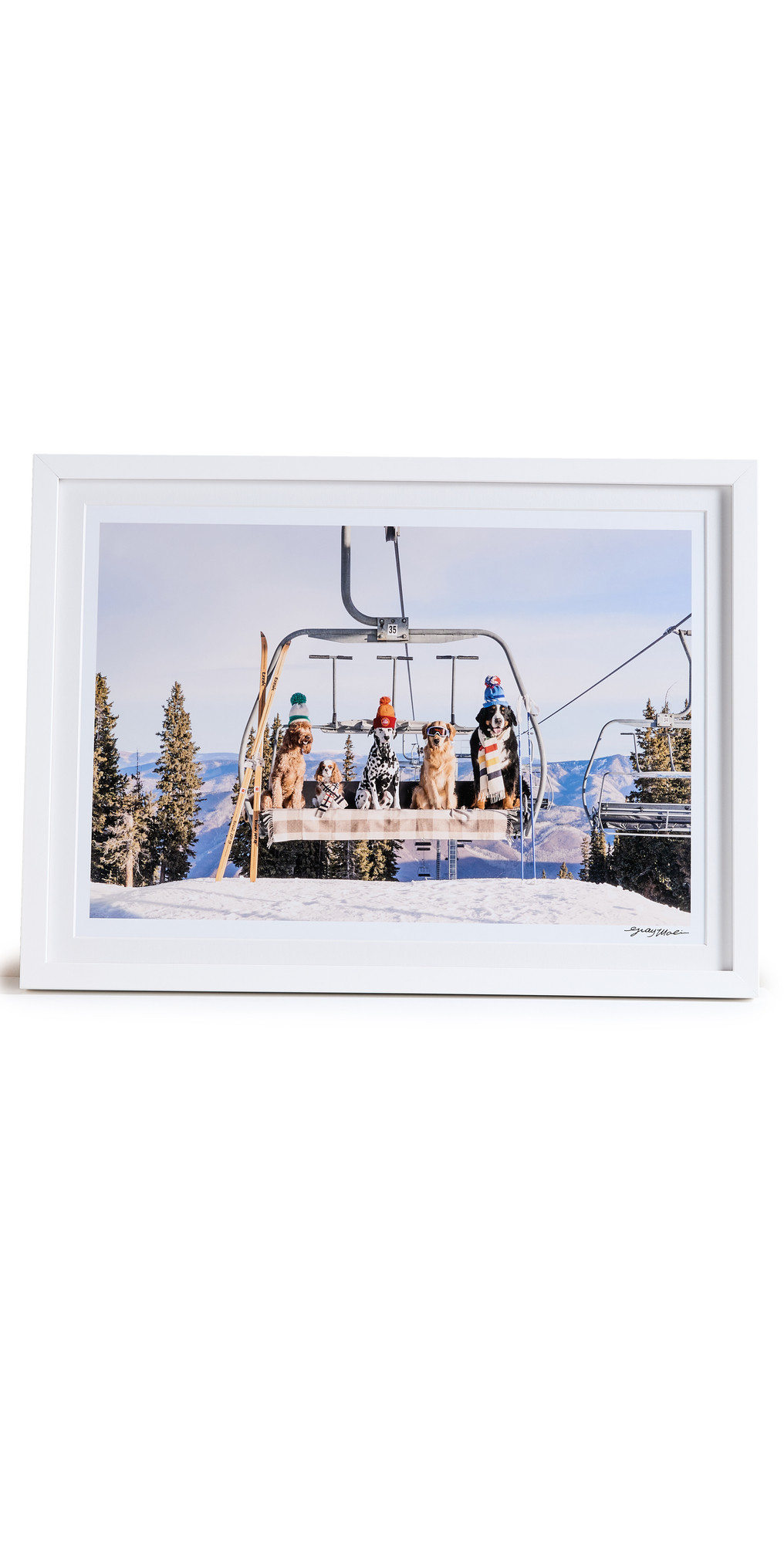 Gray Malin Chairlift Pups, Aspen | Shopbop