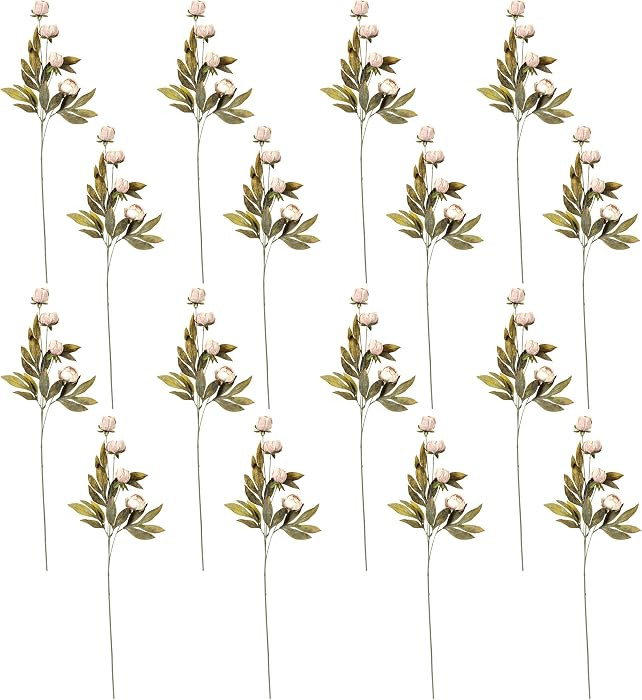 Amazon.com: Ashland Tan Peony Stem, 16 Pack : Home & Kitchen | Amazon (US)