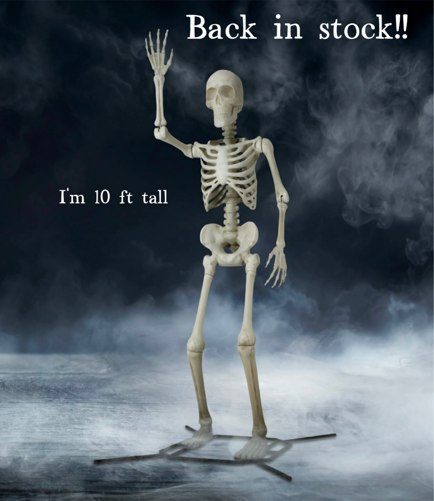 10 ft Skeleton back in stock!! Way to Celebrate! 10 ft Giant Poseable Skeleton, Halloween Decoration
Walmart Halloween Decor. Halloween outdoor decorations. Skeleton. Walmart find. 

#LTKHome #LTKParties #LTKSeasonal