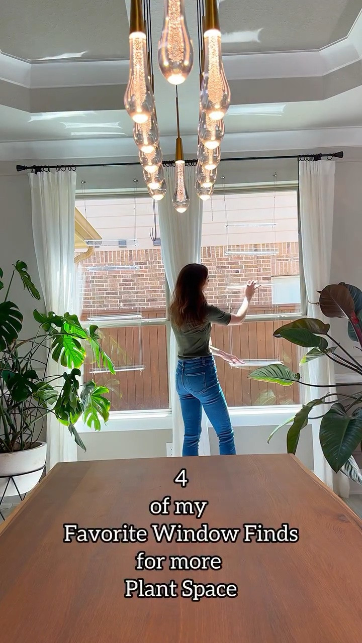 Running out of plant space? 
Use your windows 🪟

These are my go to finds when I need more room without touching my floors 🙌
Simple, renter friendly, and they keep your plants right where the light is ☀️🪴

Which one would you try first? 🤍

Comment FINDS and I’ll send everything 🫶

#houseplants #plantsetup #indoorgarden #plantlover #smallspaceplants

#LTKHome #LTKOver40 #LTKmomlife