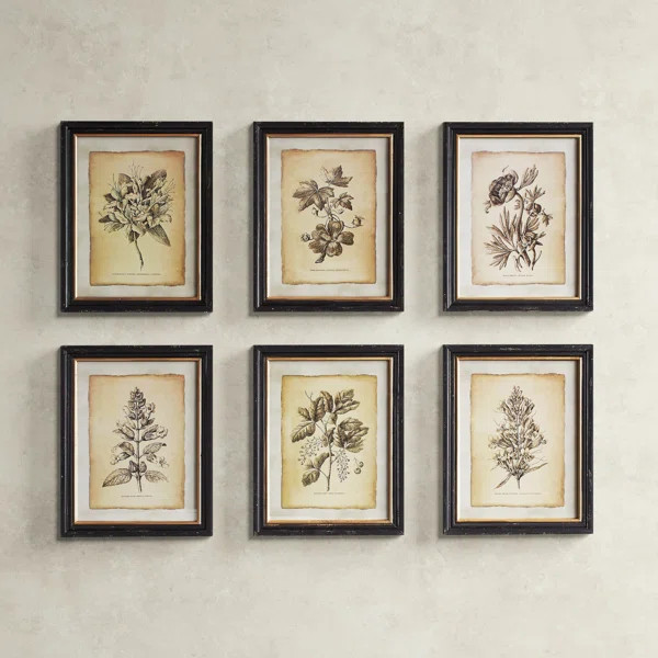 Antiqued Stems Framed On Paper 6 Pieces Print | Wayfair North America