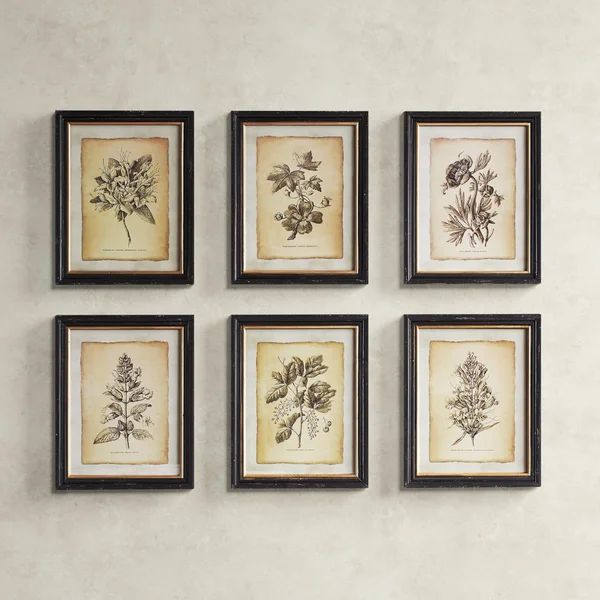 Antiqued Stems Framed On Paper 6 Pieces Print | Wayfair North America