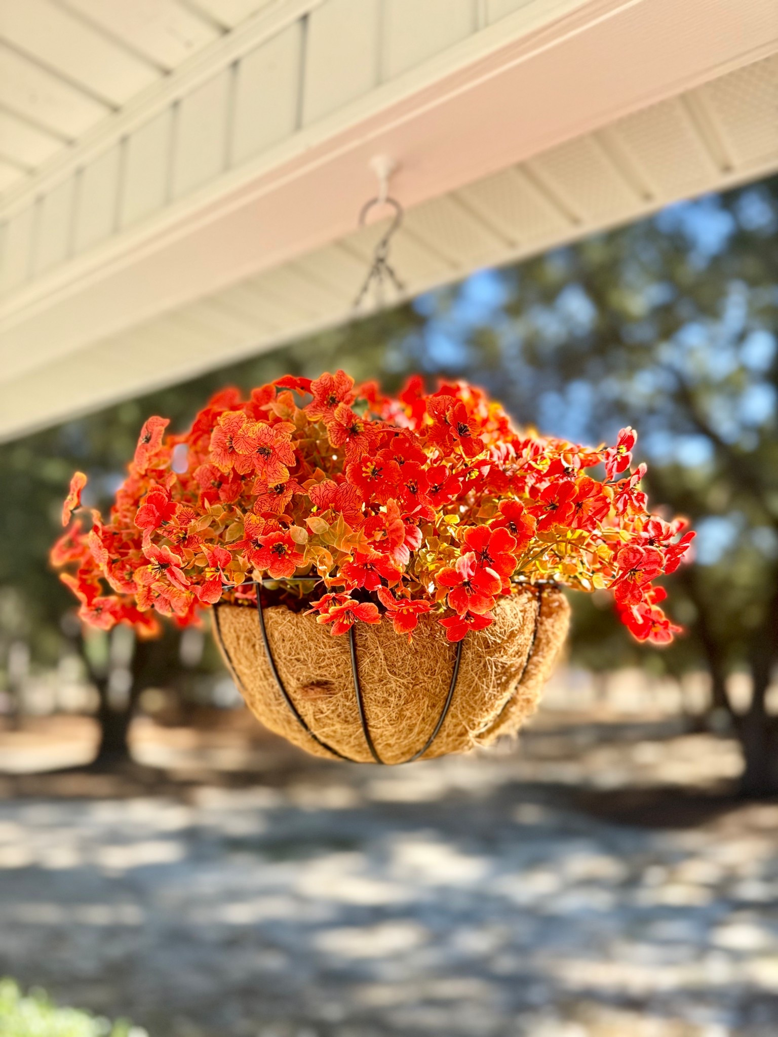 Real or fake?? So obsessed with my faux mums!

#LTKHome