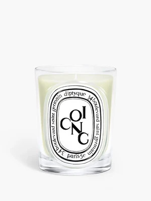 Coing (Quince) - Classic Candle | Diptyque (UK)