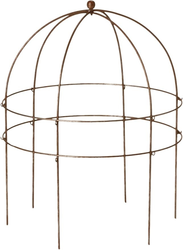 Gardeners Supply Company Jardin Bird Cage Plant Support | Large Sturdy Grow-Through Steel Flower ... | Amazon (US)