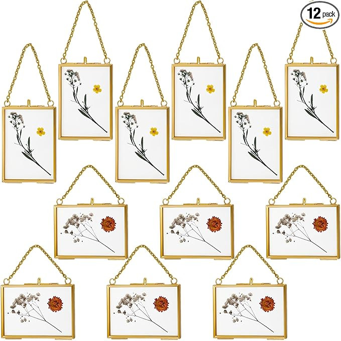 Kigley 12 Double Glass Frame for Pressed Flowers Floating Hanging Photo Frame 3.5 x 2.5 in Brass ... | Amazon (US)