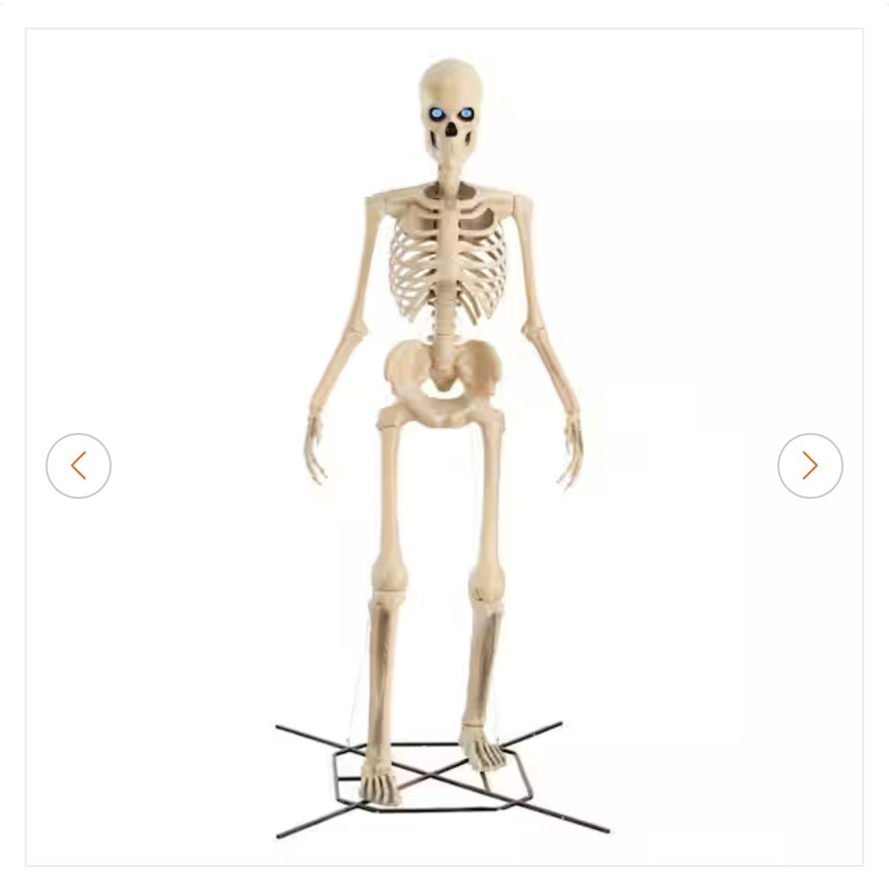 12 Foot Skeleton Halloween

#LTKSeasonal #LTKHome #LTKParties