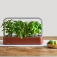 SmallGarden WiFi Powered Smart Indoor Garden | Walmart (US)