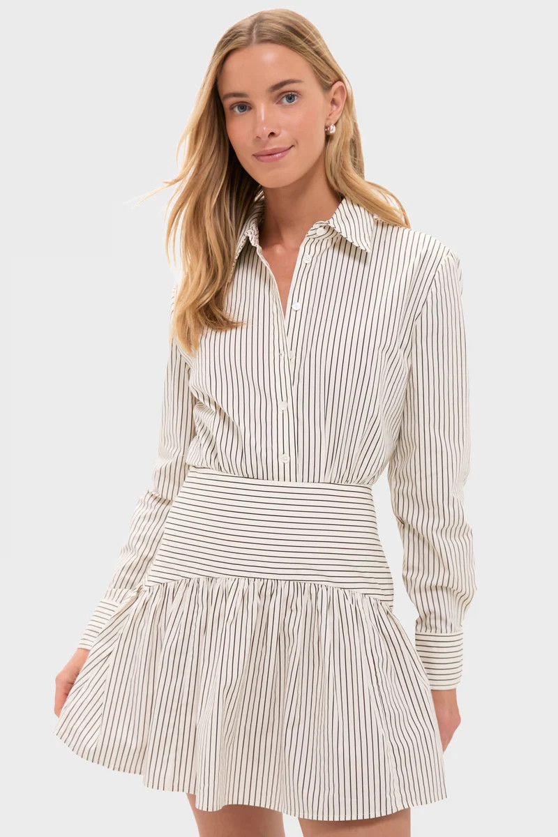 Ivory and Dark Oak Micro Stripe Rocco Mini Dress | Tuckernuck (US)
