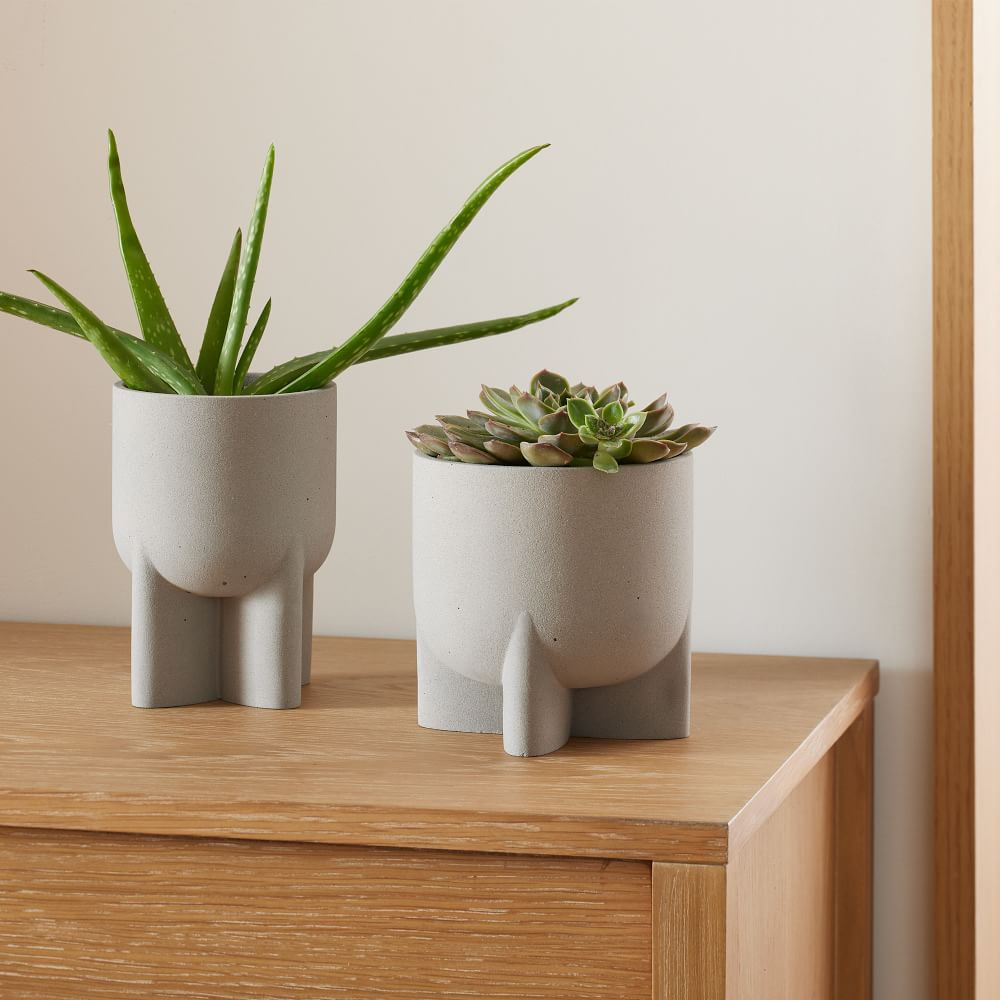 Monti Planters | West Elm (US)