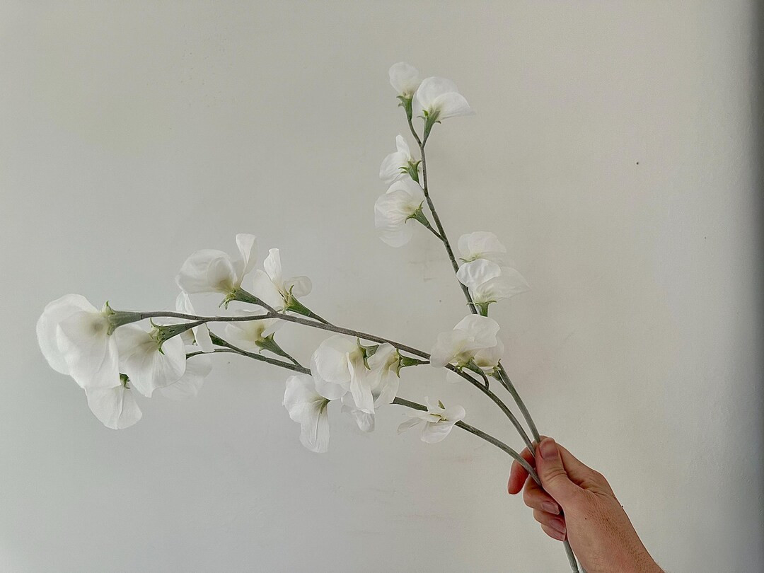 Artificial White Sweet Pea Blossom Stem, High Quality Spring Floral Stems for Bouquet, Floral Arr... | Etsy (US)
