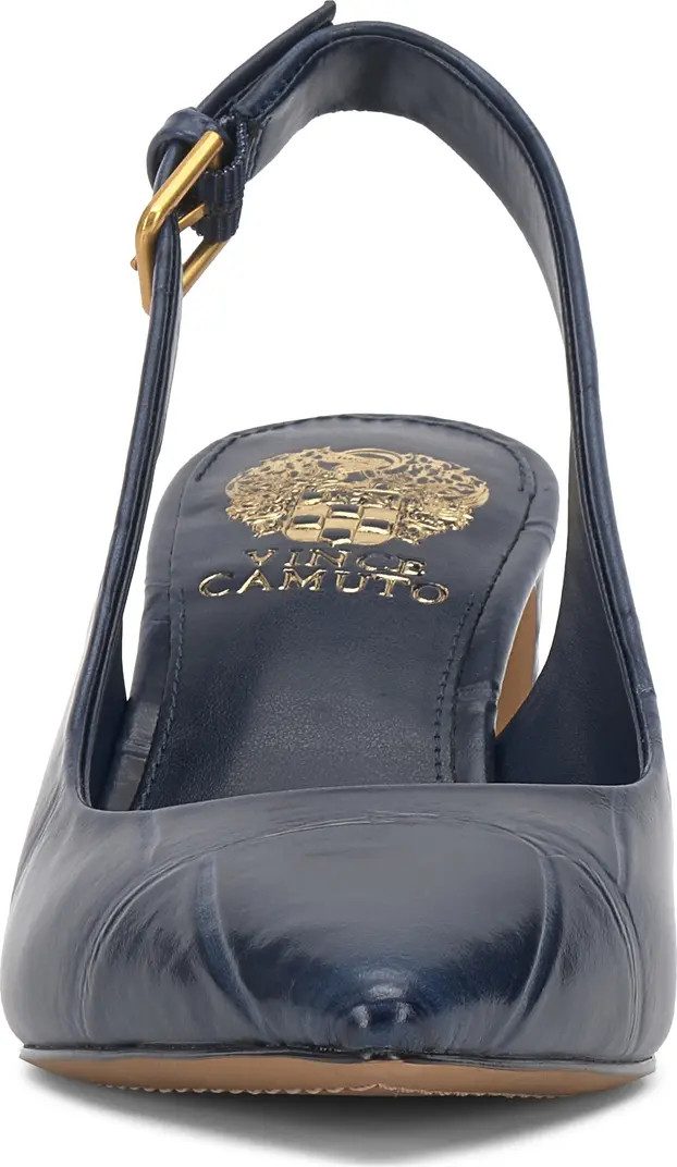 Hamden Pointed Toe Slingback Pump (Women) | Nordstrom