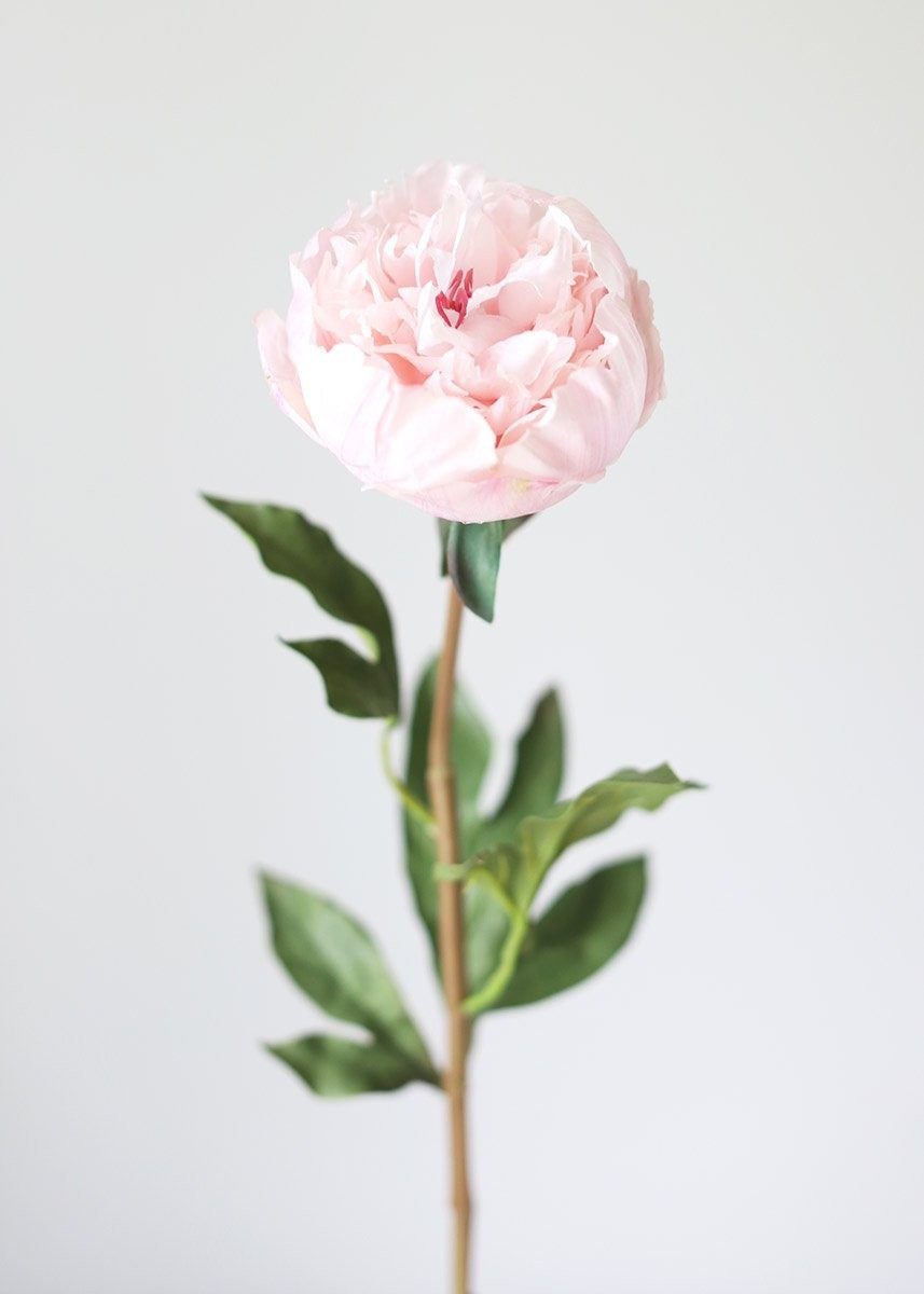 Artificial Closed Peony Fake Flower in Pink | Afloral (US)