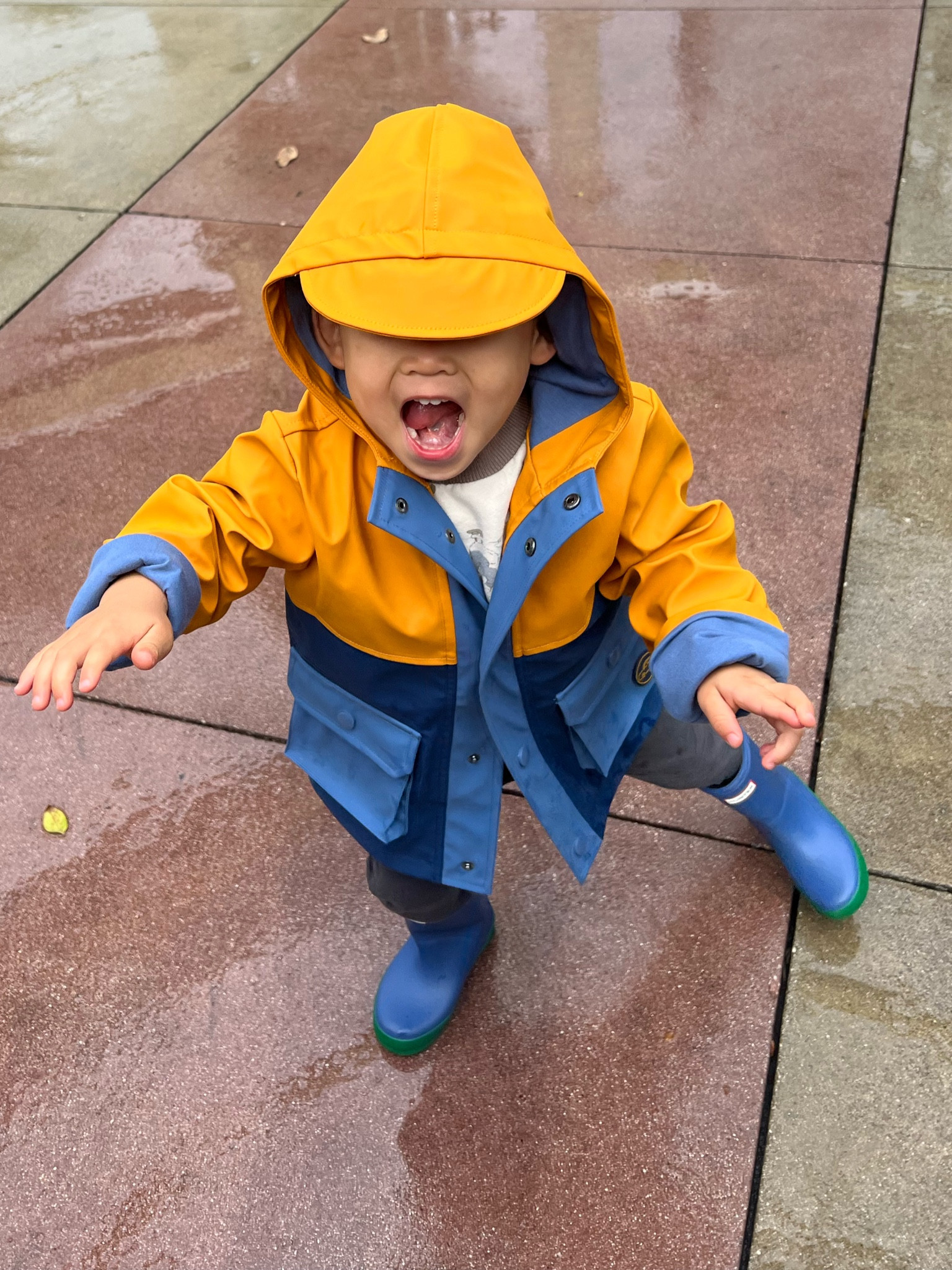 The best toddler rain boots ☔️ 

*Theo’s in a size 9 and has so much room to grow! 

#LTKGiftGuide #LTKshoecrush #LTKkids