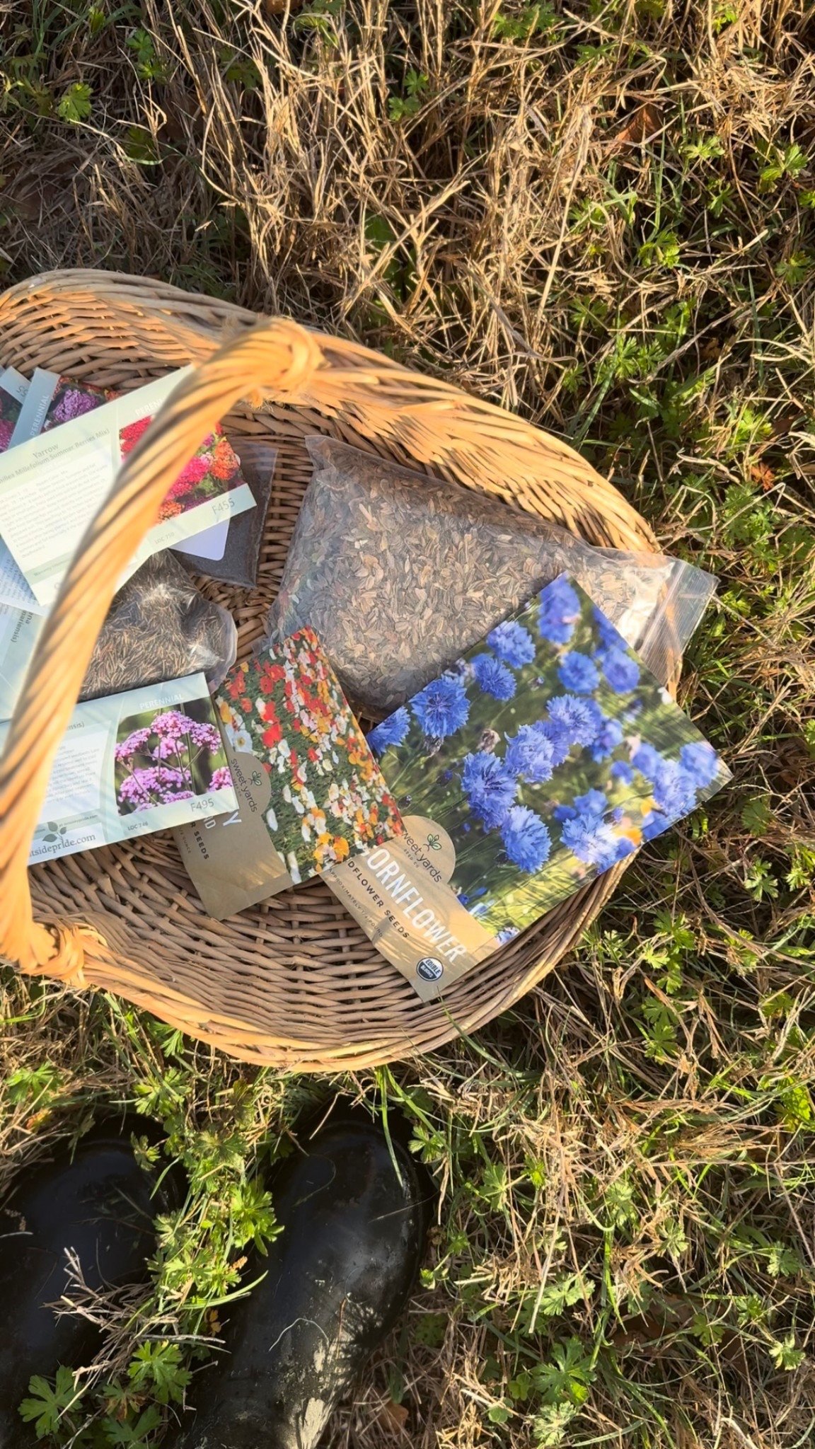 Cut flower garden, flower season, flower seeds

#LTKHome #LTKSeasonal