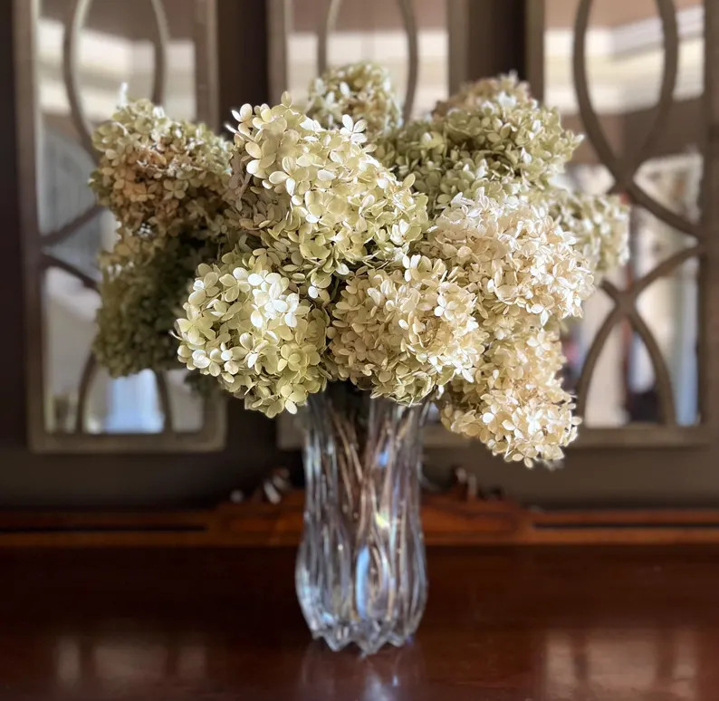 Dried Limelight Hydrangea Blooms | Natural Green-Cream-Pink Florals for Crafts, Weddings & Home D... | Etsy (Global)