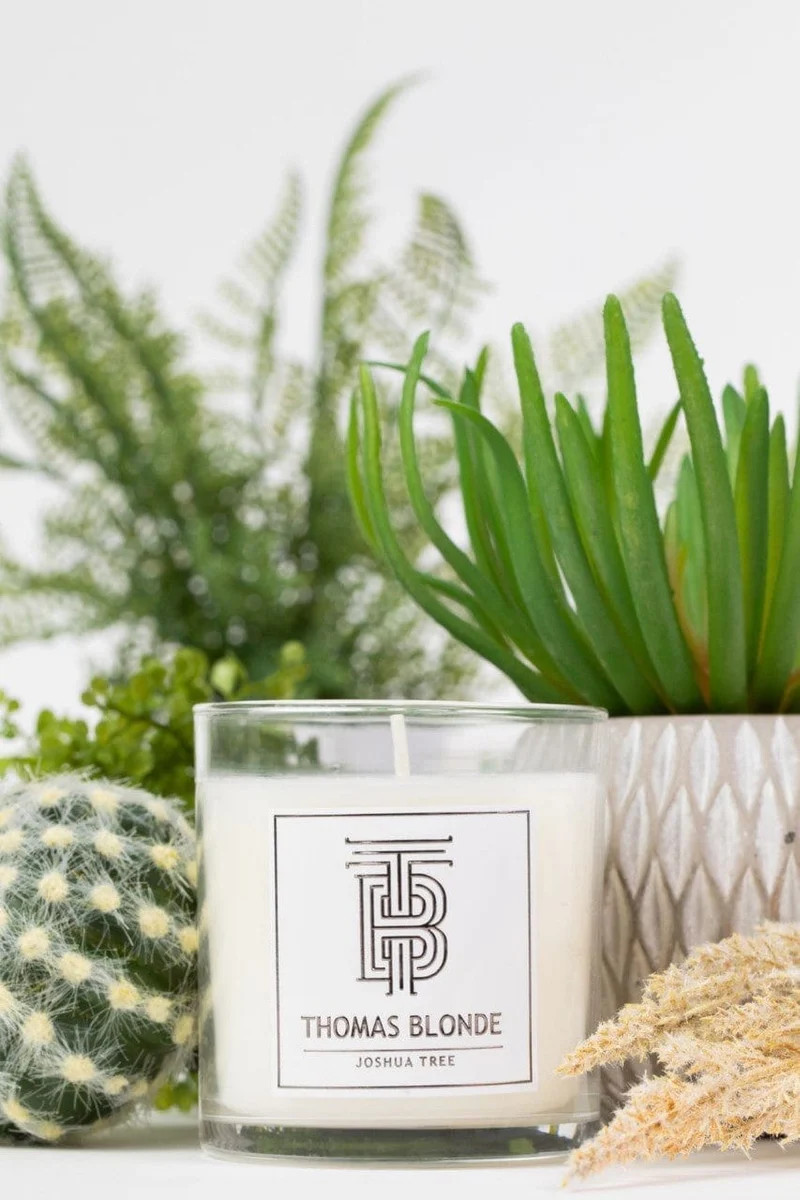 Joshua Tree Candle | Thomas Blonde
