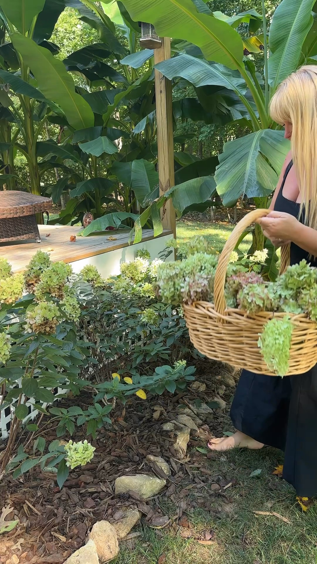 Dry some hydrangeas with me

#LTKHome