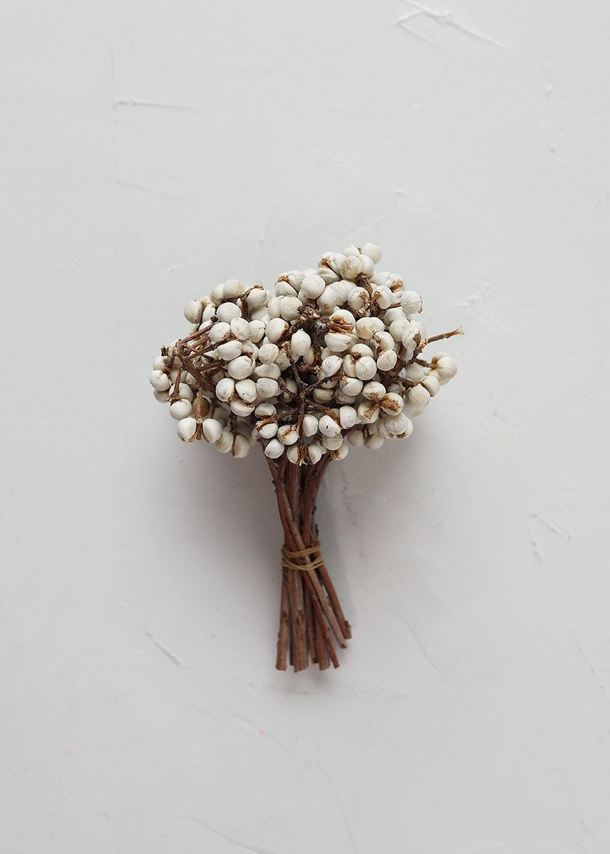 Natural Tallow Berries in White  6" - 8" - 3 oz Bundle | Afloral (US)