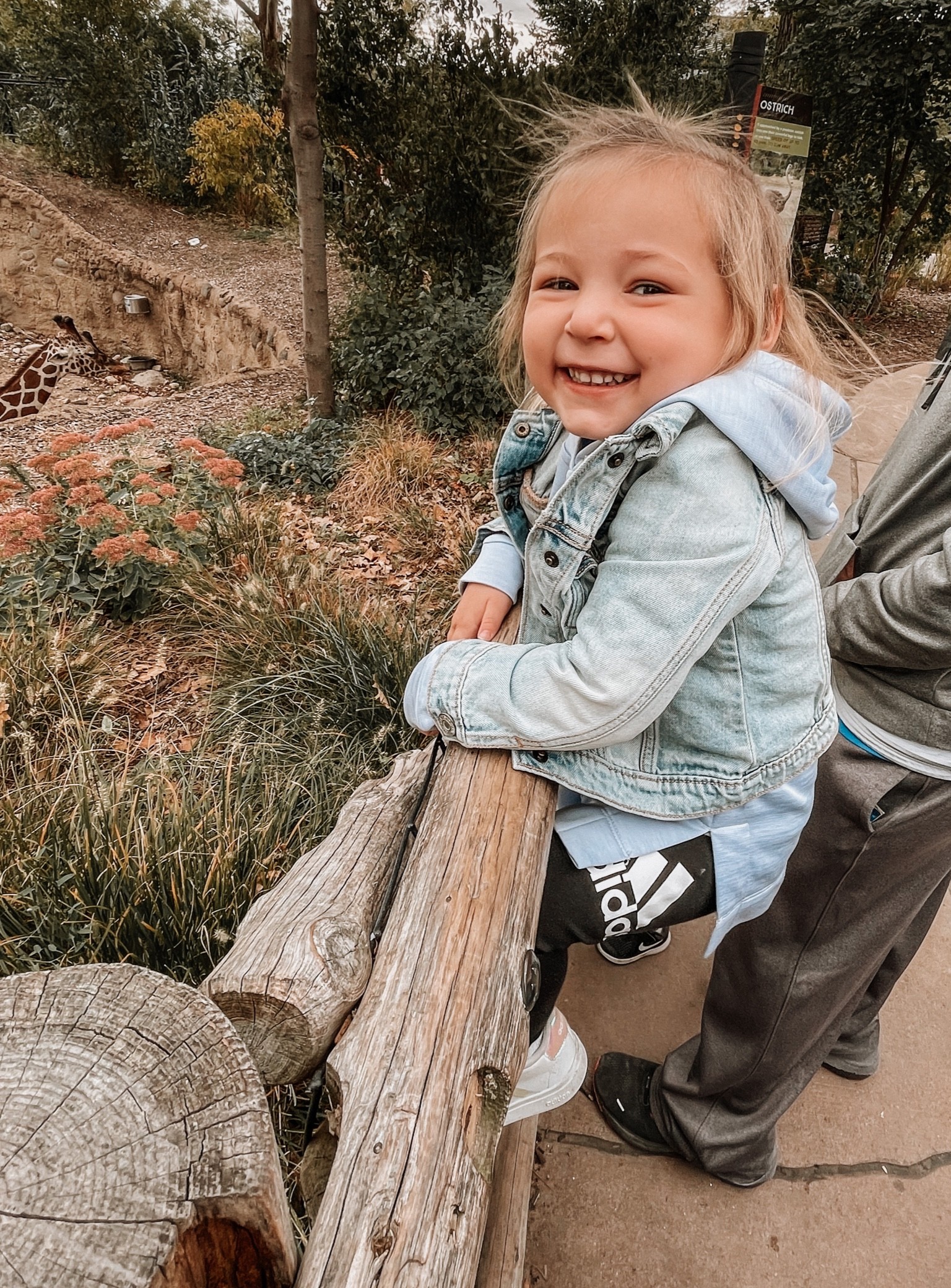 Adidas finds! Kohls is a favorite for active wear and sales!

#LTKkids #LTKsalealert

#LTKSeasonal