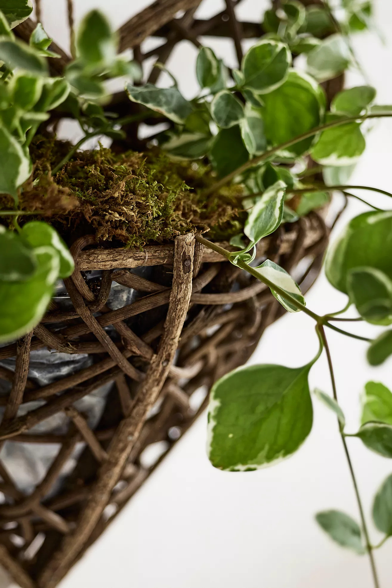 Hanging Twig Heart Planter | Terrain