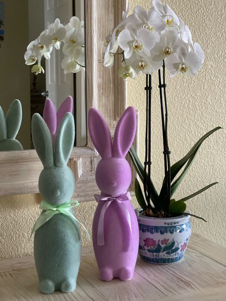 The cutest bunnies from Walmart! Under $10! #luckygirlfinds #easter 

#LTKhome #LTKSeasonal