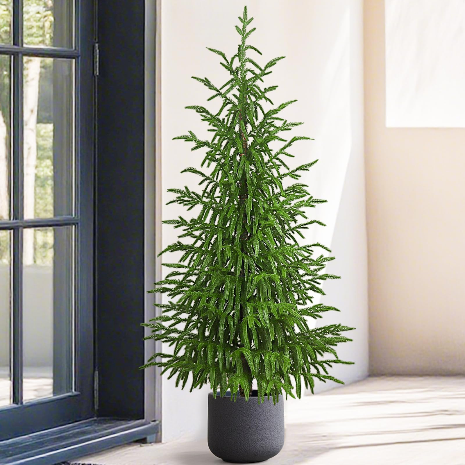 Lifecapido | Amazon (US)